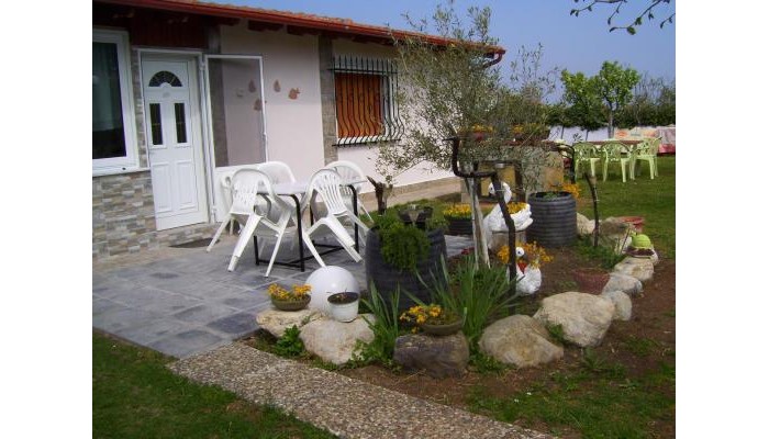 Verginia Studios poza 4