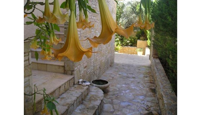 Eleonas Studios poza 6