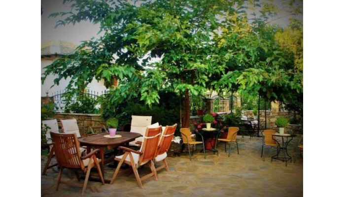 Poza pentru Antique The Hotel 313-1544189648 Antique The Hotel poza 0