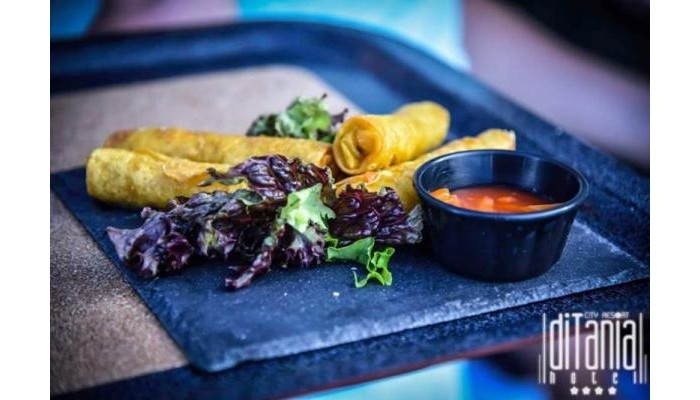 Ditania Hotel poza 0