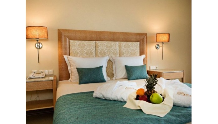 Danai Hotel & Spa poza 2