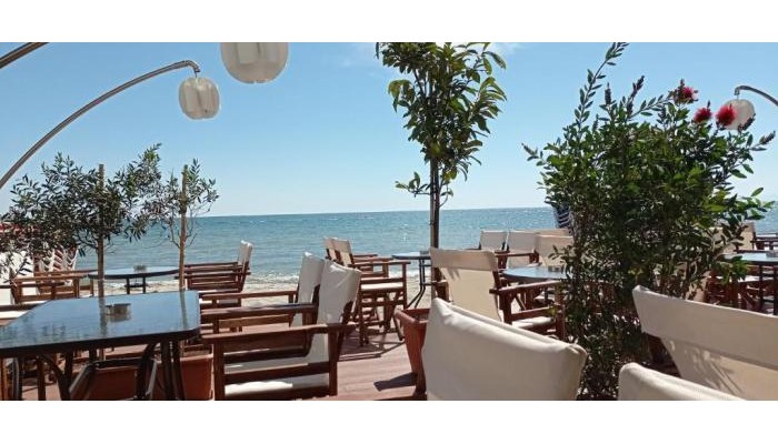 Hotel Themis Beach poza 15
