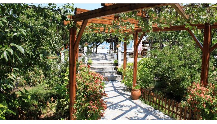 Fasoli Studios poza 4