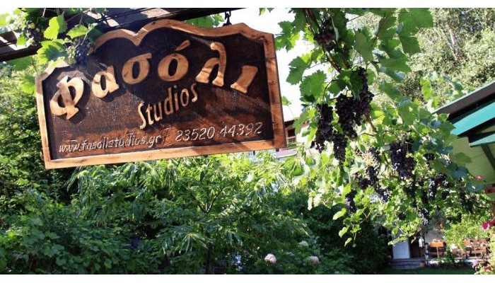Fasoli Studios poza 0
