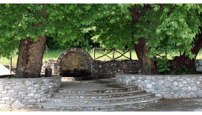 Fasoli Studios poza 7