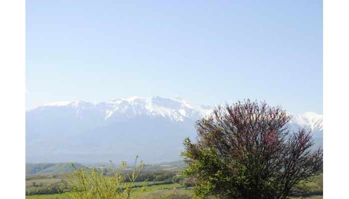 Alseides Boutique Hotel poza 9