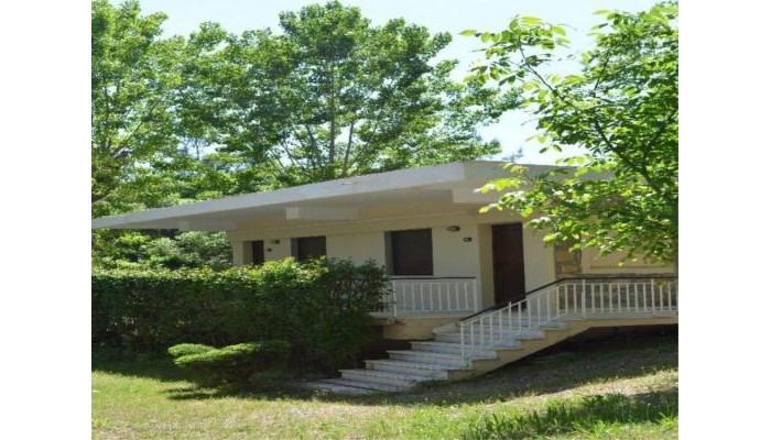 Olympios Zeus Hotel & Bungalows poza 0