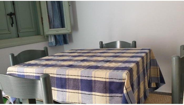 Amazones Sun Studios poza 8