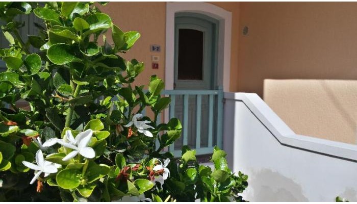 Amazones Sun Studios poza 2