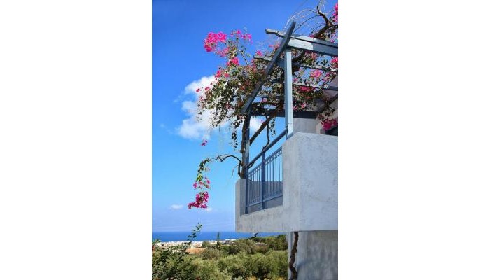 Hotel Stelva Villas poza 3