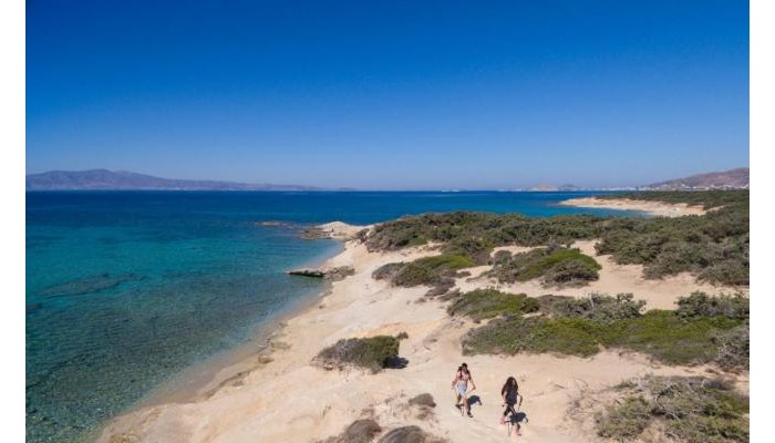 Finikas Beach Hotel poza 13