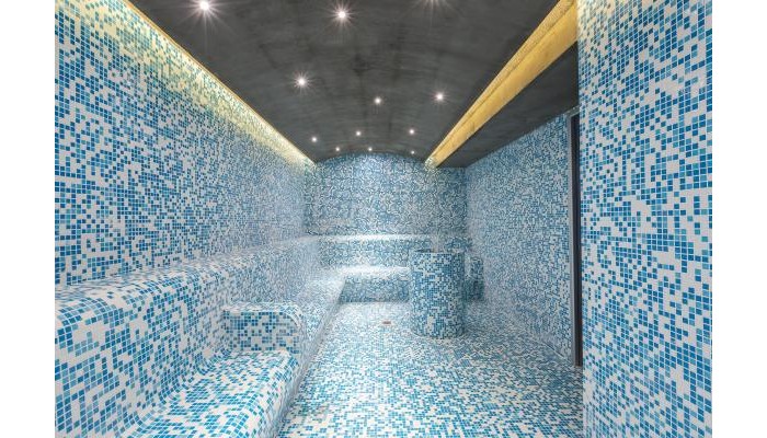 Hotel Theartemis Palace poza 20