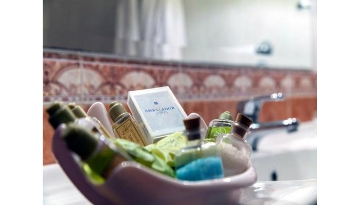 Ambassador Hotel poza 7