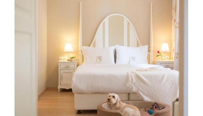 Gatto Perso Luxury Studios & Apartments poza 1