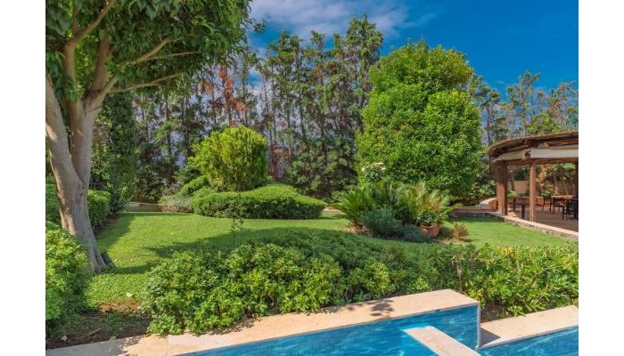 Hotel Avalon poza 10