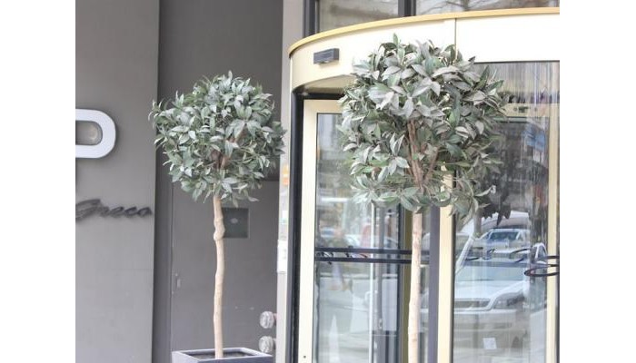 Hotel El Greco poza 5