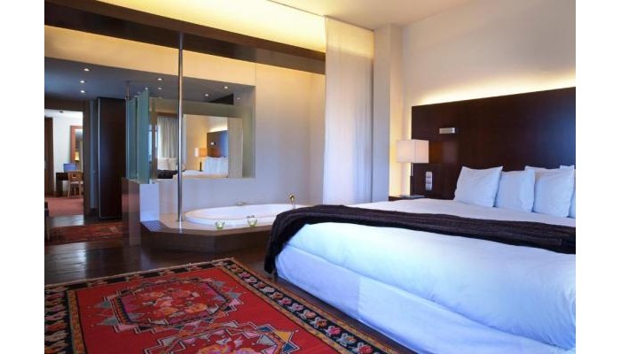 Hotel Lazart (Ex Domotel Les Lazaristes) poza 11