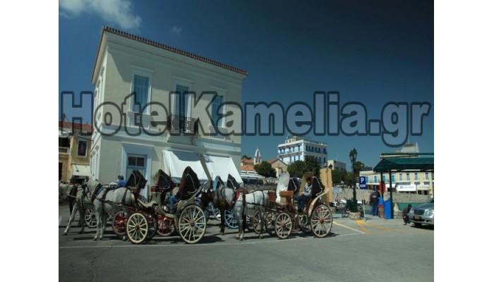 Kamelia Hotel poza 9