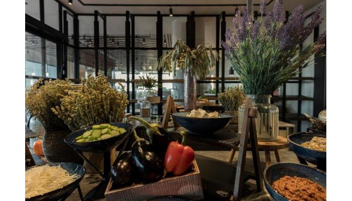 Hotel King Jason Zante – Designed For Adults poza 10