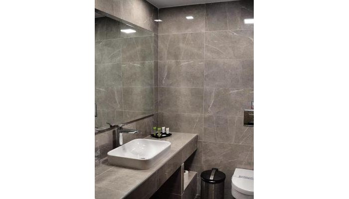 Palatino Hotel poza 11